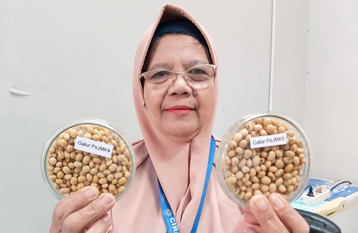 Dukung Kementan, Inovasi BATAN Hasilkan 2 Varietas Kedelai Lahan Kering